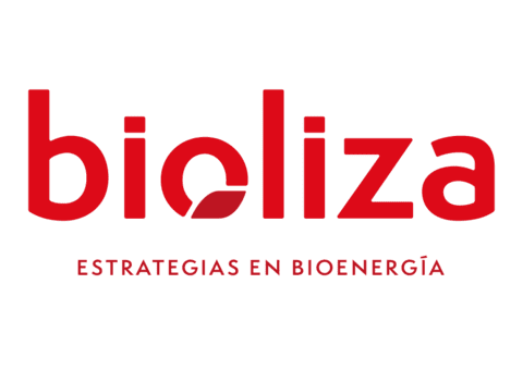 Bioliza. Estrategias en bioenergía